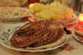 pulpo1