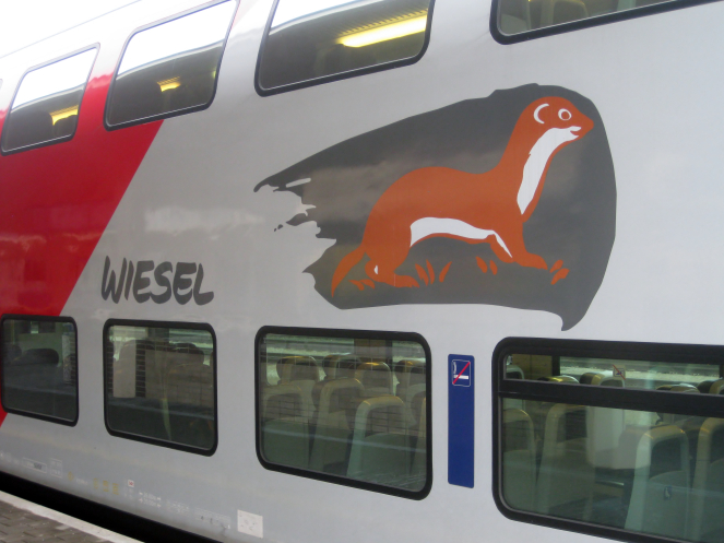wiesel