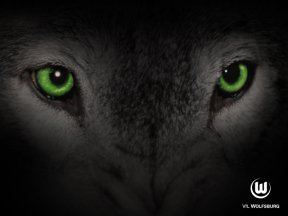 vfl_wolfsburg