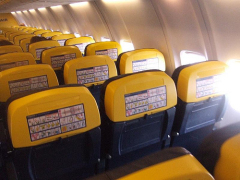Seat back
